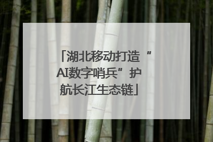 湖北移动打造“AI数字哨兵”护航长江生态链