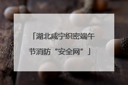 湖北咸宁织密端午节消防“安全网”