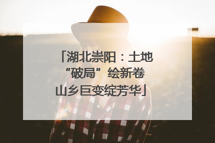 湖北崇阳：土地“破局”绘新卷 山乡巨变绽芳华