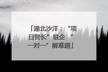 湖北沙洋：“项目警长”驻企 “一对一”解难题