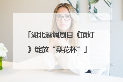 湖北越调剧目《顶灯》绽放“梨花杯”