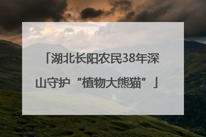 湖北长阳农民38年深山守护“植物大熊猫”