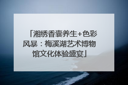 湘绣香囊养生+色彩风暴：梅溪湖艺术博物馆文化体验盛宴