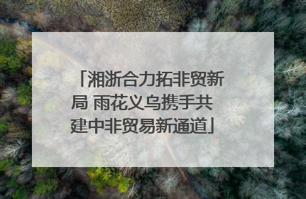 湘浙合力拓非贸新局 雨花义乌携手共建中非贸易新通道