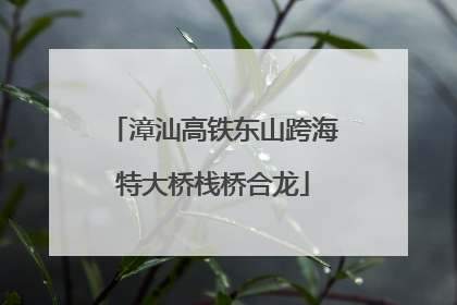 漳汕高铁东山跨海特大桥栈桥合龙