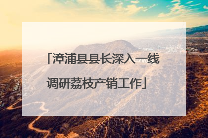 漳浦县县长深入一线调研荔枝产销工作