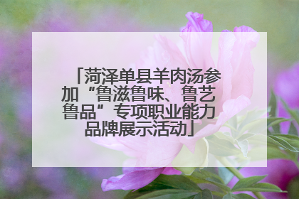 菏泽单县羊肉汤参加“鲁滋鲁味、鲁艺鲁品”专项职业能力品牌展示活动