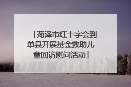 菏泽市红十字会到单县开展基金救助儿童回访慰问活动