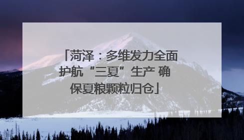 菏泽：多维发力全面护航“三夏”生产 确保夏粮颗粒归仓