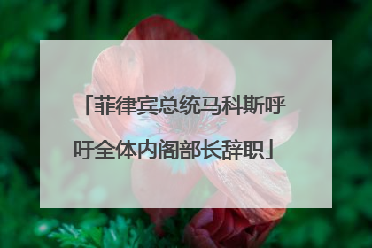 菲律宾总统马科斯呼吁全体内阁部长辞职