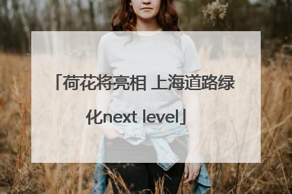 荷花将亮相 上海道路绿化next level