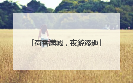 荷香满城，夜游添趣