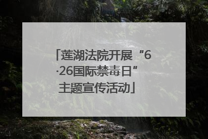 莲湖法院开展“6·26国际禁毒日”主题宣传活动