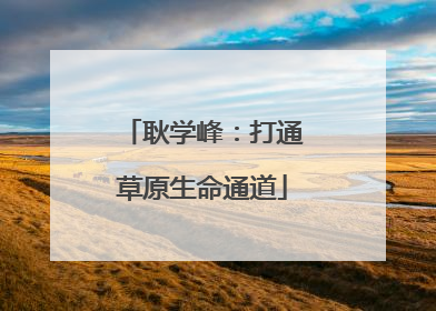 耿学峰：打通草原生命通道