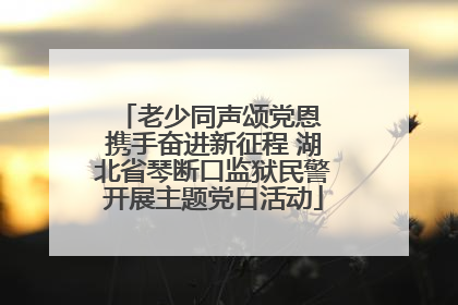 老少同声颂党恩 携手奋进新征程 湖北省琴断口监狱民警开展主题党日活动