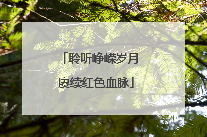 聆听峥嵘岁月 赓续红色血脉