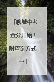 聊城中考查分开始！附查询方式→