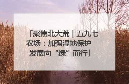 聚焦北大荒｜五九七农场：加强湿地保护 发展向“绿”而行