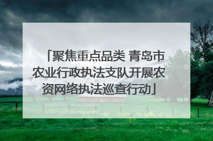 聚焦重点品类 青岛市农业行政执法支队开展农资网络执法巡查行动