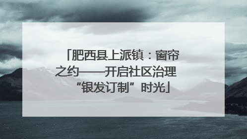 肥西县上派镇：窗帘之约——开启社区治理“银发订制”时光