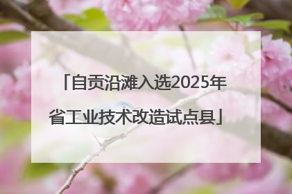 自贡沿滩入选2025年省工业技术改造试点县