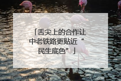舌尖上的合作让中老铁路更贴近“民生底色”