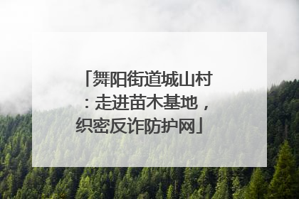 舞阳街道城山村：走进苗木基地，织密反诈防护网