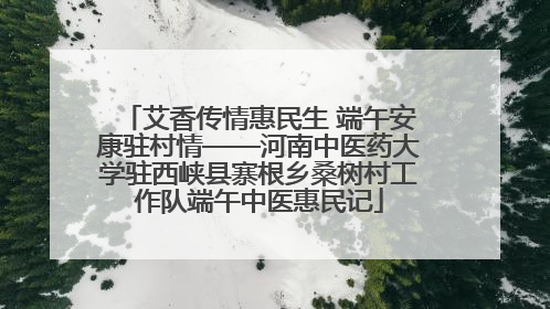 艾香传情惠民生 端午安康驻村情——河南中医药大学驻西峡县寨根乡桑树村工作队端午中医惠民记