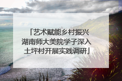 艺术赋能乡村振兴 湖南师大美院学子深入土坪村开展实践调研