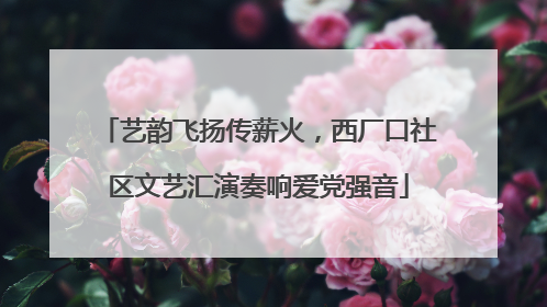 艺韵飞扬传薪火，西厂口社区文艺汇演奏响爱党强音