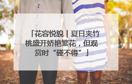 花容悦貌｜夏日夹竹桃盛开娇艳繁花，但观赏时“碰不得”