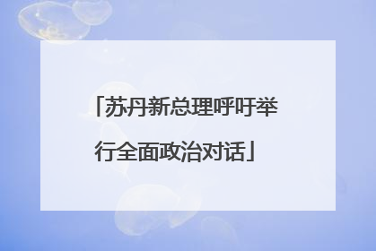 苏丹新总理呼吁举行全面政治对话