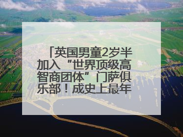 英国男童2岁半加入“世界顶级高智商团体”门萨俱乐部！成史上最年轻男性会员