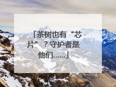 茶树也有“芯片”？守护者是他们……