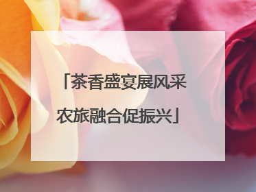 茶香盛宴展风采 农旅融合促振兴