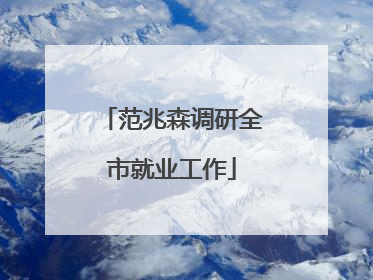 范兆森调研全市就业工作