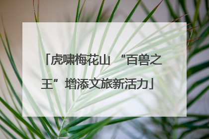 虎啸梅花山 “百兽之王”增添文旅新活力