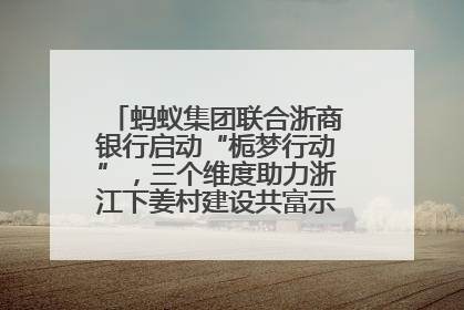 蚂蚁集团联合浙商银行启动“栀梦行动”，三个维度助力浙江下姜村建设共富示范区示范点