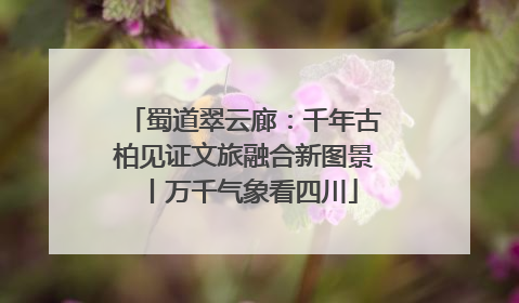 蜀道翠云廊：千年古柏见证文旅融合新图景丨万千气象看四川