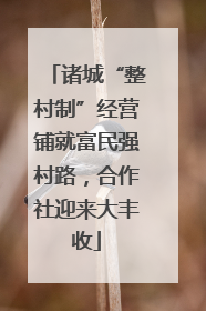 诸城“整村制”经营铺就富民强村路，合作社迎来大丰收