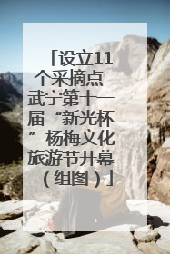 设立11个采摘点 武宁第十一届“新光杯”杨梅文化旅游节开幕（组图）
