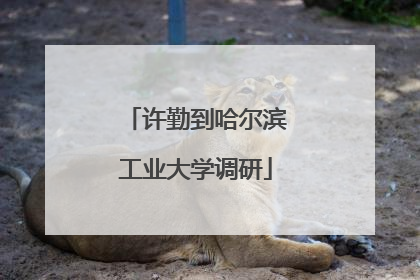 许勤到哈尔滨工业大学调研