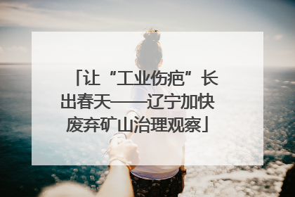让“工业伤疤”长出春天——辽宁加快废弃矿山治理观察