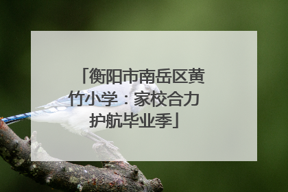 衡阳市南岳区黄竹小学：家校合力护航毕业季