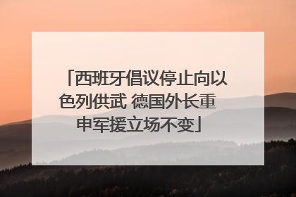 西班牙倡议停止向以色列供武 德国外长重申军援立场不变