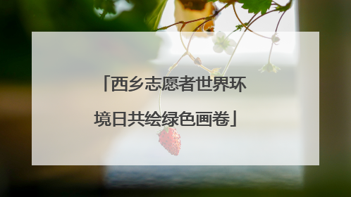 西乡志愿者世界环境日共绘绿色画卷