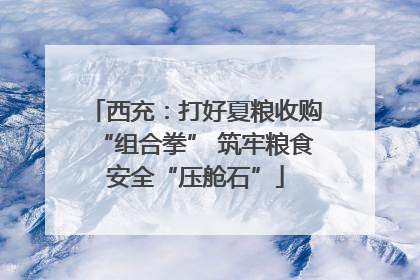 西充：打好夏粮收购“组合拳” 筑牢粮食安全“压舱石”
