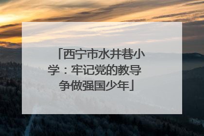 西宁市水井巷小学：牢记党的教导 争做强国少年