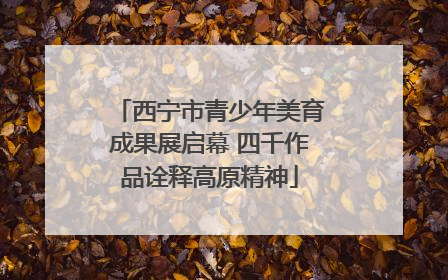 西宁市青少年美育成果展启幕 四千作品诠释高原精神
