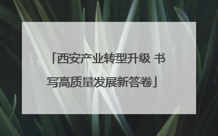西安产业转型升级 书写高质量发展新答卷